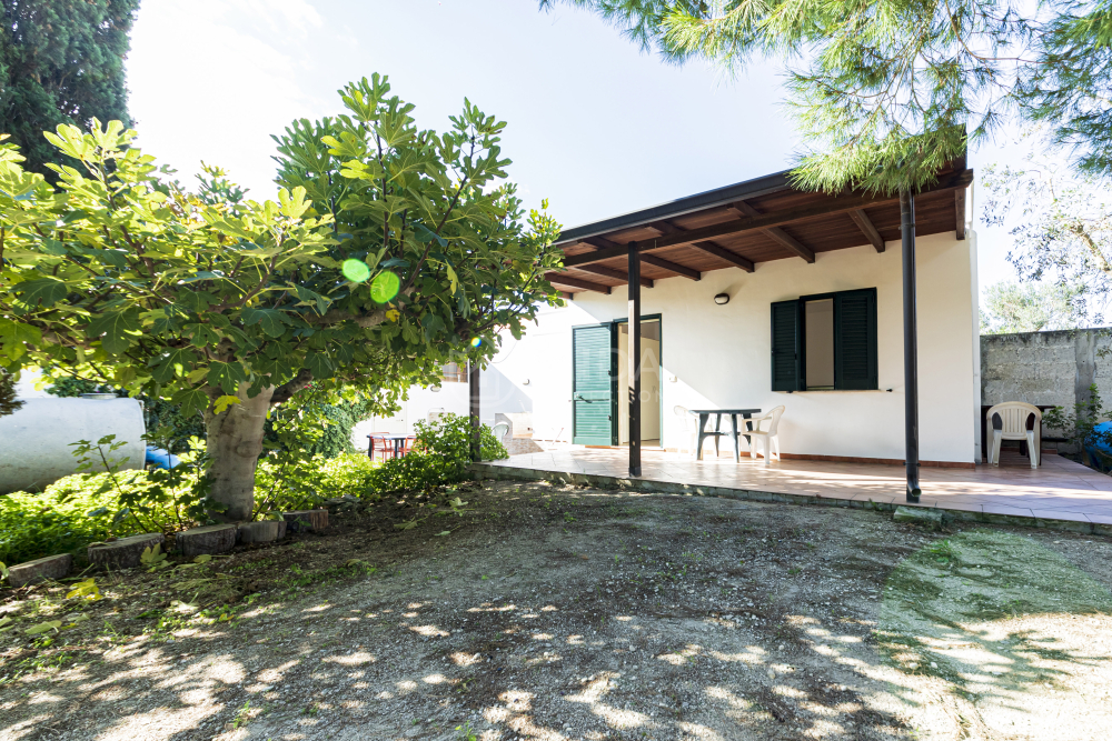 Villa Zeus - Casa Grande 