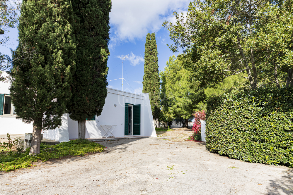 Villa Zeus - Casa Piccola 