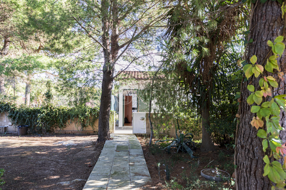 Villa Zeus - Casa Piccola 