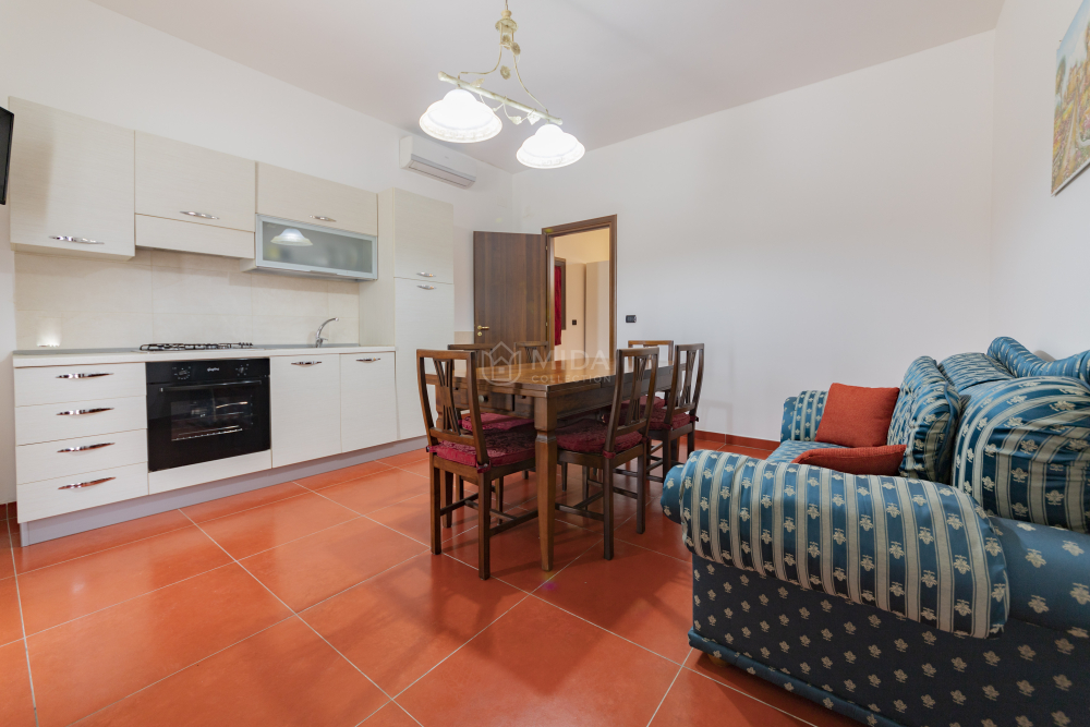 Life Flowers - Bruna SH