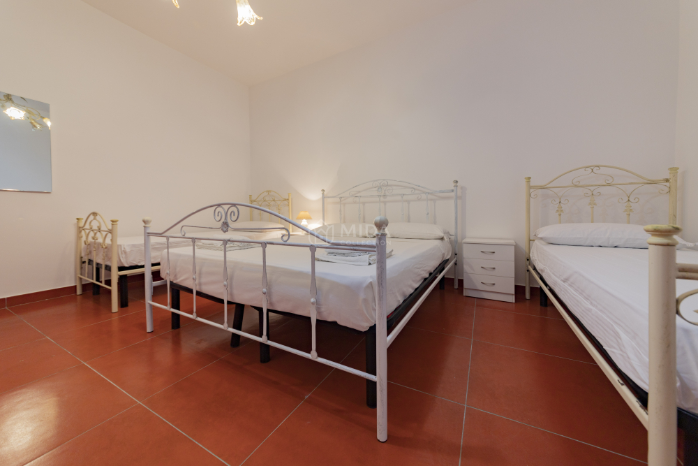 Life Flowers - Bruna SH