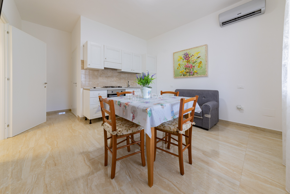 Life Tree - Bruna SH