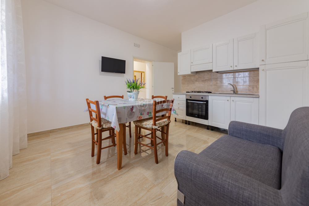 Life Tree - Bruna SH