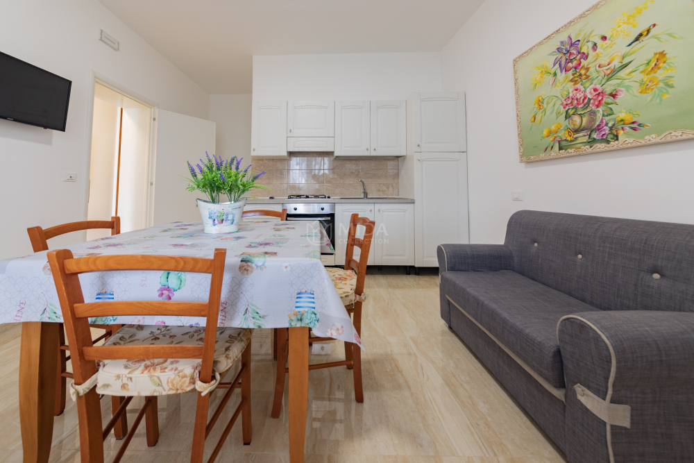 Life Tree - Bruna SH