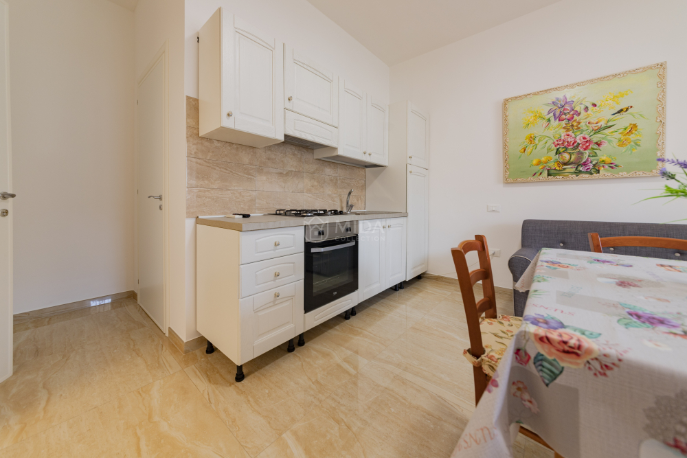 Life Tree - Bruna SH