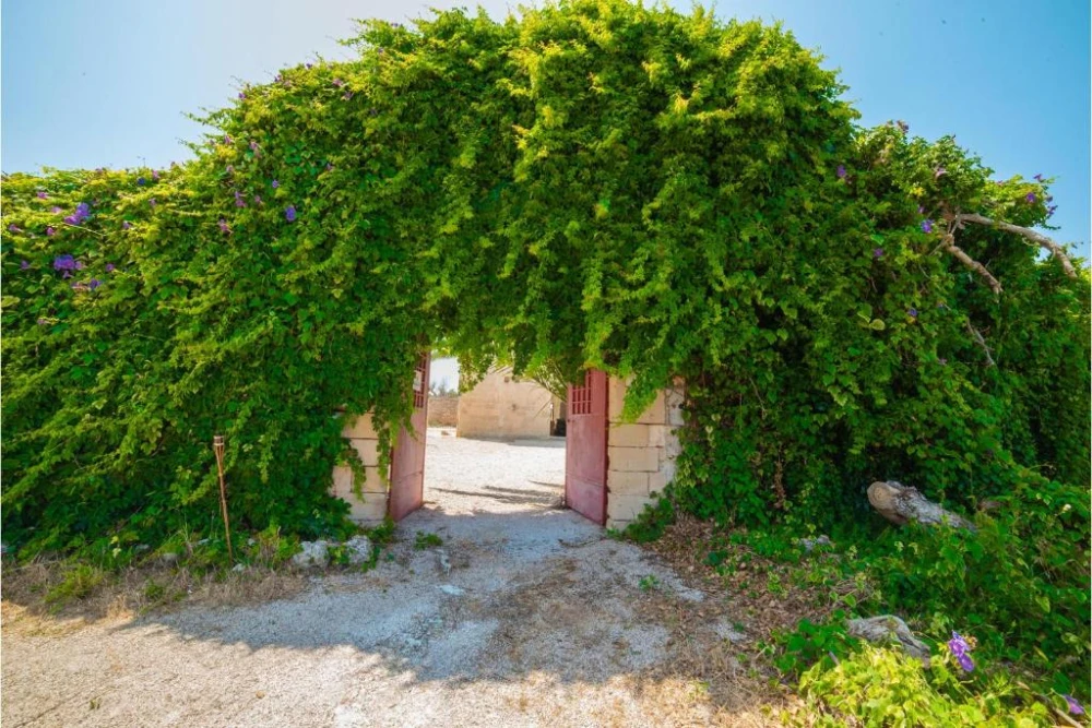 Masseria Torcivetta