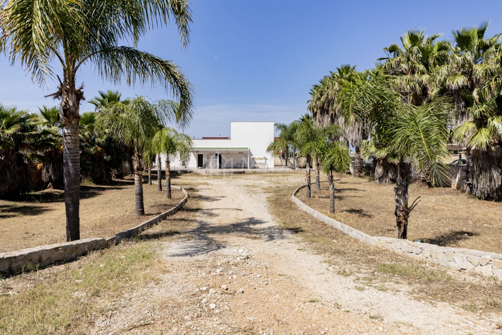 Monolocale Palme 2