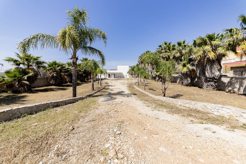 Monolocale Palme 2