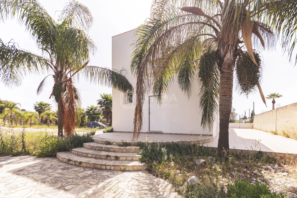 Monolocale Palme 2